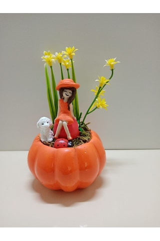 Evlilik Yıl Dönümü Hediyesi Kız Arkadaşa Doğum Günü Hediyesi Kabak Teraryum