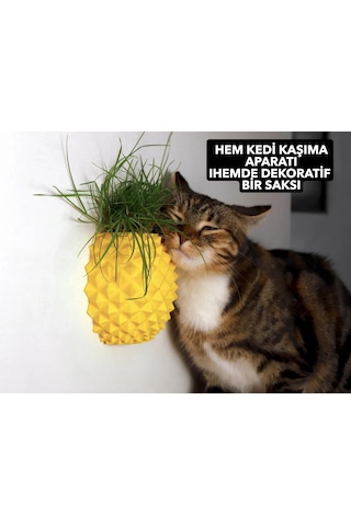 Ananas Şekilli Kedi Kaşıma Aparatı Kedi Çimi Eklenebilir Duvar