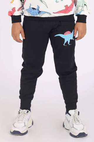 Fyk Kids Erkek Çocuk Yuvarlak Yaka Dinazor Baskılı Alt-üst Pijama Takımı Çok Renkli