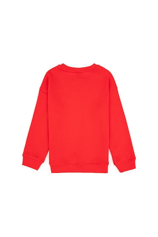 U.S. Polo Assn. Erkek Çocuk Kırmızı Bisiklet Yaka Basic Sweatshirt 50313829-VR030