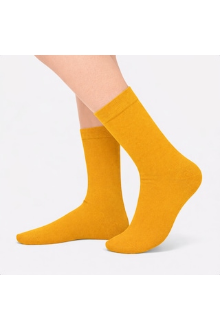 Carnaval Socks Hardal Renkli Pastel Çorap Çok Renkli