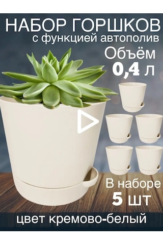 Interm Menekşeler, Sukulentler Ve Kaktüsler İçin Küçük Çiçek Saksısı 52390371