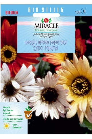 Miracle Karışık Renkli Afrika Papatyası Çiçeği Tohumu 30 Tohum