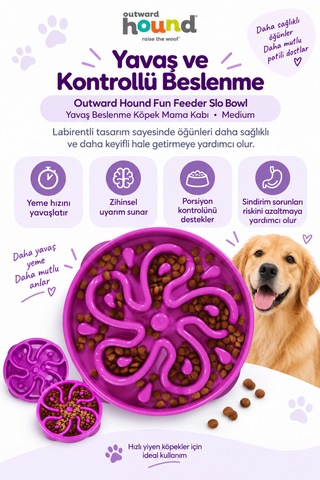 Outward Hound Fun Feeder Slo Bowl Orta Boy Yavaş Yeme Köpek Mama Kabı