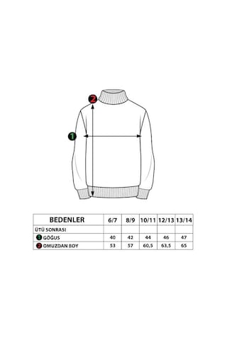 Toontoy Kız Çocuk Baskılı Taş İşlemeli Balıkçı Yaka Sweatshirt Siyah