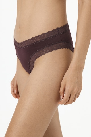Penti Kahverengi Comfy Pamuklu Slip Külot Bn83