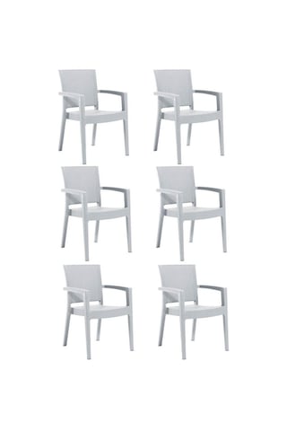 6 Adet Novussi Paris Rattan Kollu Sandalye Koltuk BEYAZ Beyaz