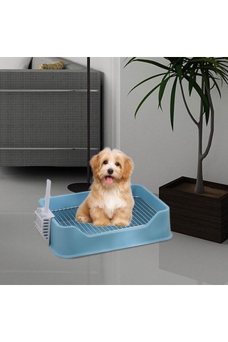 Homyl Chinchillas Yavru Pet Malzemeleri Için Kaşık Mavi