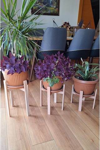 Saksılık 3 Adet,büyük Boy Saksılar İçin Kayın Ağacından