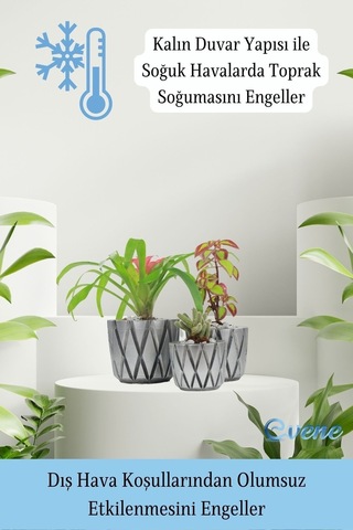 Saksı Çiçek Kaktüs Saksısı Lüx 11 Cm Altın Eskitme Varak Boyalı Baklava Desen Saksı Çiçeklik - Gümüş Eskitme