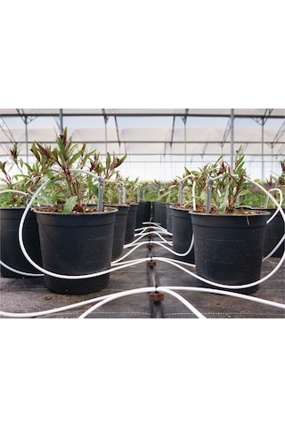 Mgf Hazır Saksı Damla Sulama Hortum Seti (Hidrofonik)-Ahtapot