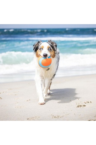 Chuckit Amphibious Yüzebilen Köpek Oyun Topu 12 Cm 260-50021.01