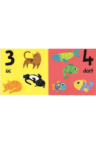 +1 Yaş Minik Kitaplar Serisi 4'Lü Kitap Seti Eolo Yayınları
