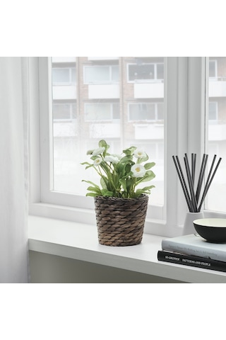 Druvflader Rattan Saksı, Su Sümbülü 17833246