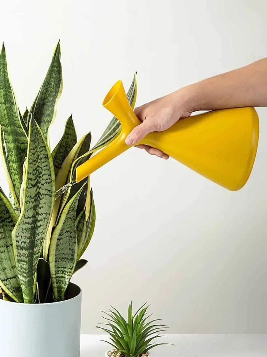 Zeytin Home İç Mekan Çiçekleri İçin Sulama Kasesi 100144143