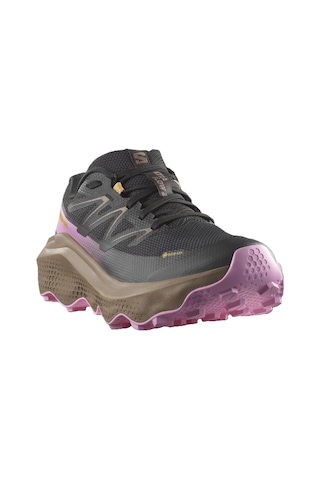 Salomon Ultra Flow 2 Gtx Kadın Ayakkabısı L47884400 Çok Renkli