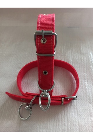 Büyük ve Orta Irk Köpek Tasması