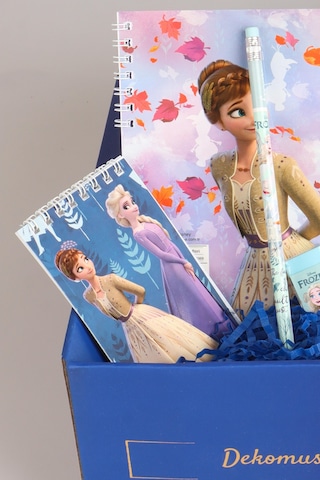 Dekomus Lisanslı İle Gıft Box Özel Kutulu "frozen Karlar Ülkesi Kırtasiye Seti" Pipetli Bardak,silgi,not Defteri Altın