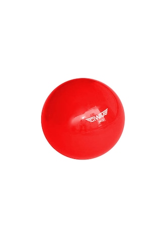 Cwa-941 Pilates Ağırlık Topu Pilates Toning Ball Denge Ve Ağırlık Cwa-941 Pilates Ağırlık Topu Pilates Toning Ball Denge Ve Ağırlık