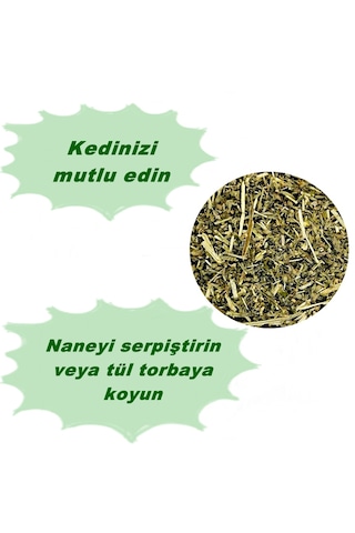 Nunbell Kurutulmuş Doğal Catnip Kedi Nanesi 150 ML