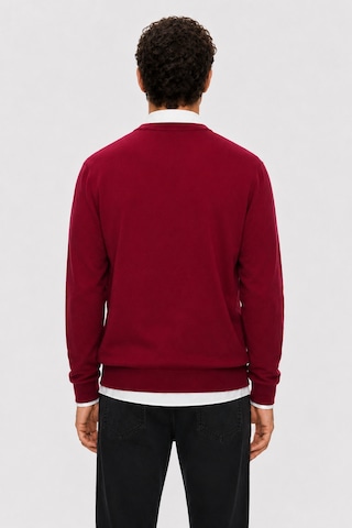 Ucla Sento Bordo Bisiklet Yaka %100 Pamuk Nakışlı Standard Fit Erkek Triko