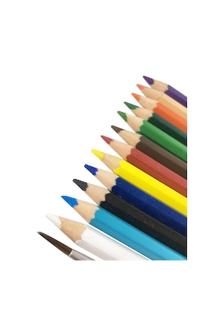 Bigpoint 12'li Sulu Boya Seti fırça