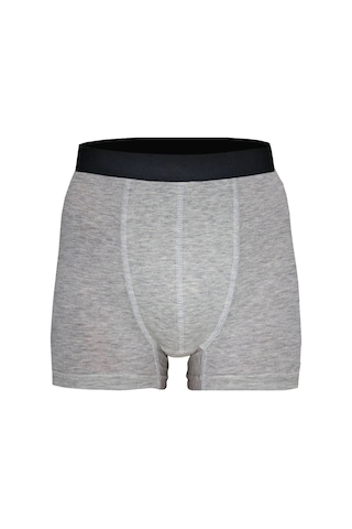 Black Swallow Erkek Pamuklu Likralı Gri Boxer