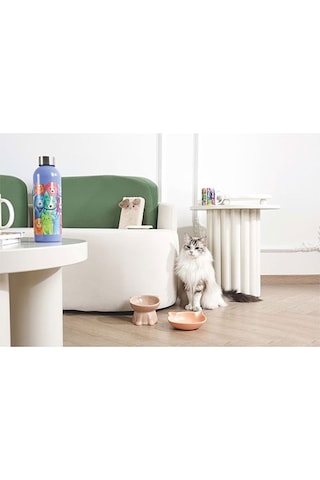 M-pets Petjoy Mao Miao Kediler İçin Seramik Mama Kabı 200 Ml 244-51048.01