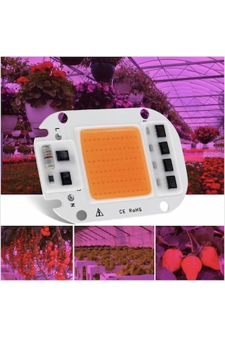 220V 50W Grow Led Full Spectrum Cob Led (Bitki Yetiştirme Ledi)