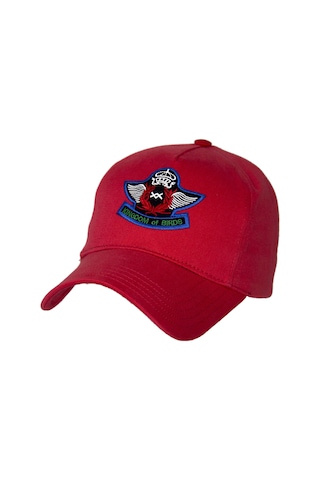 Bay Şapkacı - Kanatlı Arma Nakışlı Kep-9404 Mint Yeşili