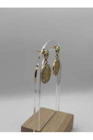 Arnes Jewelry Çelik Çeyrekli Zirkon Taşlı Küpe Ar181nes Gold