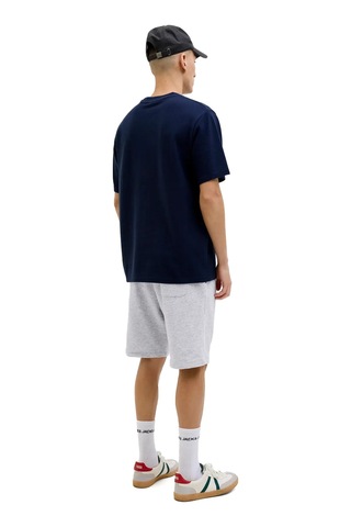 Jack & Jones Jpstgordon Erkek Şort Gri