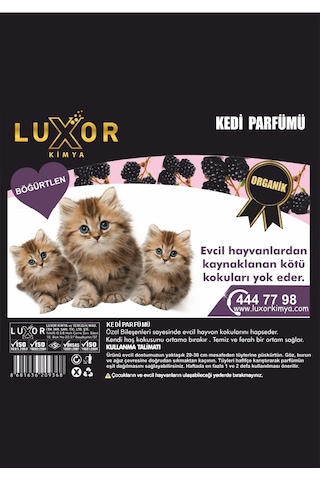 Luxor Kedi Parfümü Böğürtlen Aromalı 200 ml
