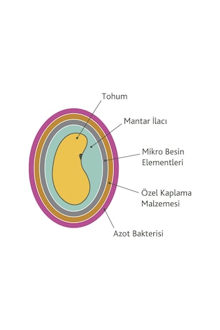 Kaplama Yonca Tohumu Sunter] 1 KG