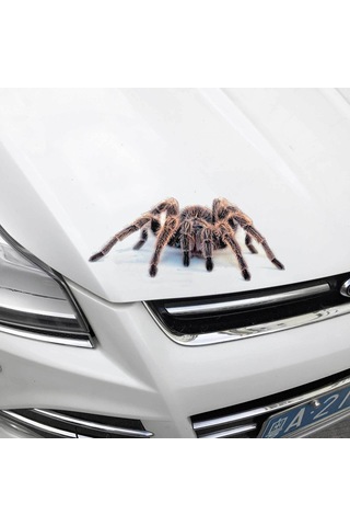 Yuntech01 A18 Akrep 3d Araba Sticker - Gerçekçi Hayvan Desenli, Dayanıklı Ve Kolay Kurulumlu Araba Dekorasyon Stickerı Tekli Paket