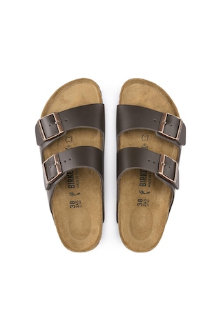 Birkenstock Arizona Nl Erkek Terlik Kahverengi