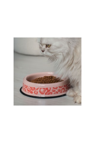 Emaye Kedi Köpek Mama Ve Su Kabı Renkli Pati - Pembe