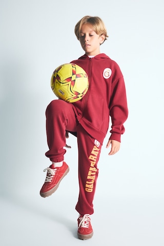 Defacto Galatasaray Kapüşonlu Fermuarlı Cepli Sweatshirt Basic Hırka Erkek Çocuk I6635a826wnrd119 Kırmızı-rd119