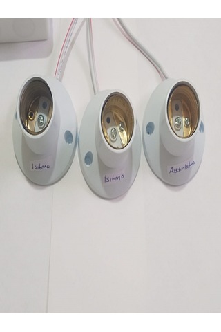 Karahisar Kuluçka Termostat Kontrollü 2 Isıtma 1 Aydınlatma Seti Hayvan Kulübe Isıt