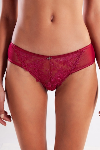 Golshan Gaspara Mini Slip, Kadın Güpürlü Tüllü Şarap Renkli Normal Kesim Külot Çok Renkli