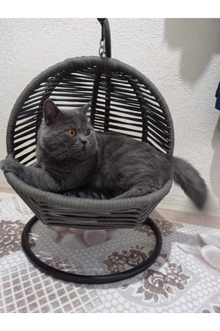 Kedi Salıncağı & Kedi Yatağı Sabitleme Aparatlı