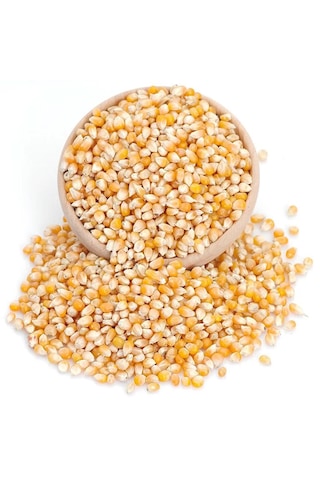 Egeden Her Yere Nazilli Patlayan Cin Mısır %100 Patlayan Mısır İri Boy 1 KG