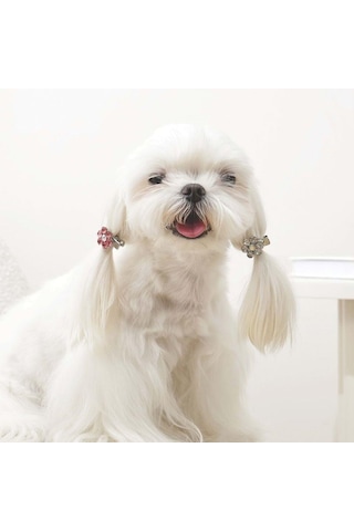 M-pets Glam Çiçekli Kedi Ve Köpekler İçin Aksesuar Toka Pembe Beyaz Pembe