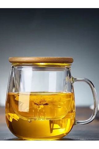 Qerhome Borosilikat Cam Süzgeçli Bambu Kapaklı Kupa 350 Ml Şeffaf