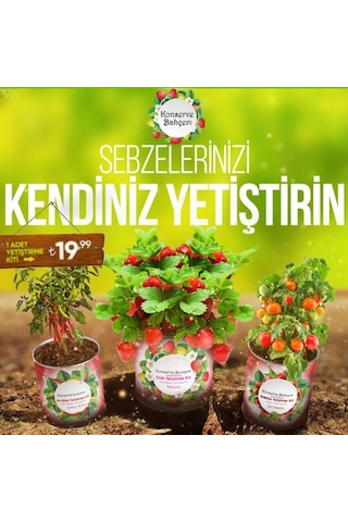 Konserve Bahçem Çilek Tohum Yediveren Yetiştirme Kiti
