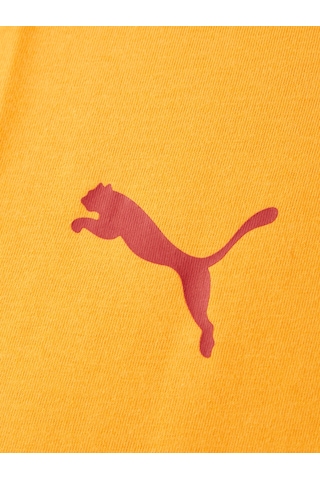 Gsstore Galatasaray Puma T-shirt 78290706 Sarı