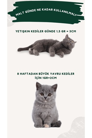 Roevita Kedi ve Köpekler İçin Multi Vitamin Paste 100 G