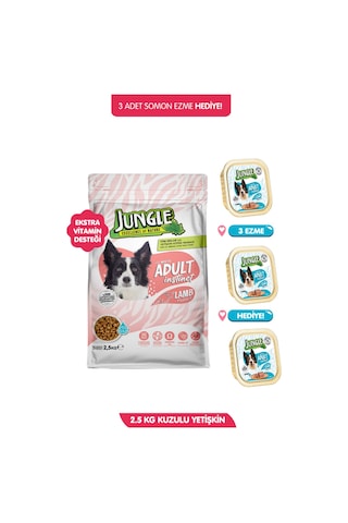 Yüksek Enerjili Kuzulu Köpek Maması 2.5 Kg + 3 Adet 100gr Somon Ezme Hediye