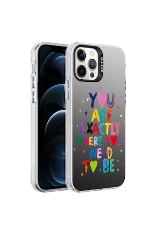 Apple Uyumlu iPhone 12 Pro Max Uyumlu Desenli Zore Silver Sert Kılıf-you You -