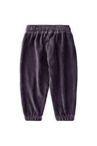 Cigit Fitilli Kadife Jogger Pantolon 1-10 Yaş Füme Füme